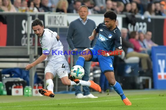 1.BL - 17/18 - TSG 1899 Hoffenheim vs. Hannover 96 (© Kraichgausport / Loerz)