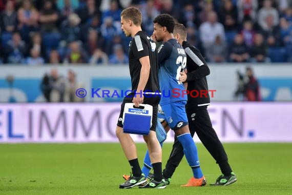 1.BL - 17/18 - TSG 1899 Hoffenheim vs. Hannover 96 (© Kraichgausport / Loerz)