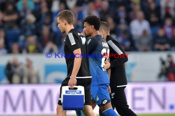 1.BL - 17/18 - TSG 1899 Hoffenheim vs. Hannover 96 (© Kraichgausport / Loerz)