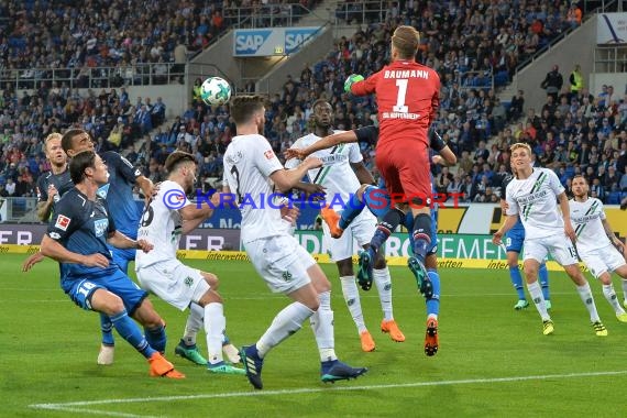 1.BL - 17/18 - TSG 1899 Hoffenheim vs. Hannover 96 (© Kraichgausport / Loerz)