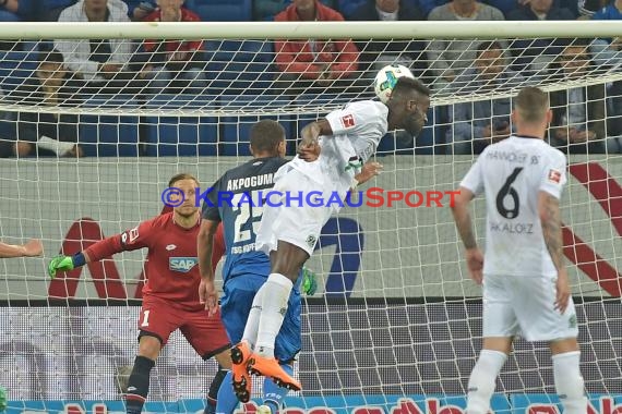 1.BL - 17/18 - TSG 1899 Hoffenheim vs. Hannover 96 (© Kraichgausport / Loerz)