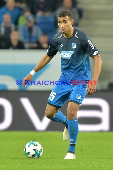 1.BL - 17/18 - TSG 1899 Hoffenheim vs. Hannover 96 (© Kraichgausport / Loerz)