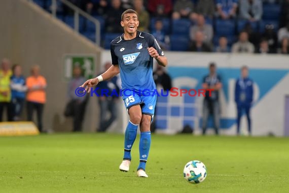 1.BL - 17/18 - TSG 1899 Hoffenheim vs. Hannover 96 (© Kraichgausport / Loerz)