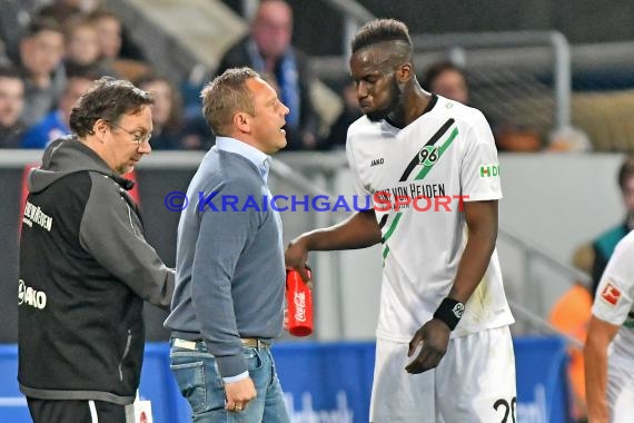 1.BL - 17/18 - TSG 1899 Hoffenheim vs. Hannover 96 (© Kraichgausport / Loerz)