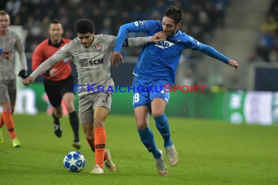 CL - 18/19 - TSG 1899 Hoffenheim vs. Schachtar Donezk (© Kraichgausport / Loerz)