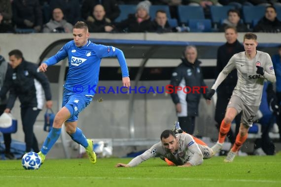 CL - 18/19 - TSG 1899 Hoffenheim vs. Schachtar Donezk (© Kraichgausport / Loerz)