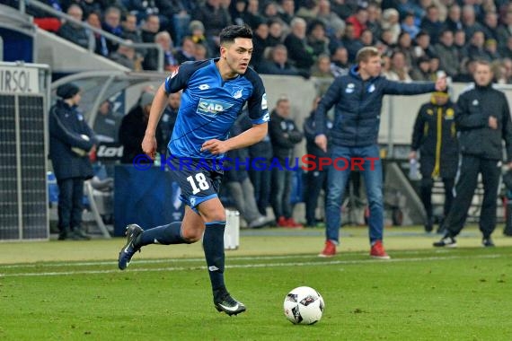 1. BL - 16/17 - TSG 1899 Hoffenheim vs. Bor. Dortmund (© Kraichgausport / Loerz)