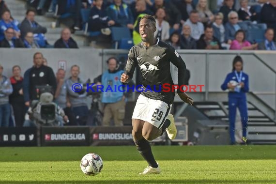 1. BL - 18/19 - TSG 1899 Hoffenheim vs. RB Leipzig (© Fotostand / Loerz)