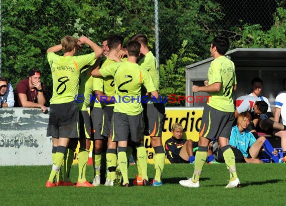 Landesliga Rhein Neckar TSV Michelfeld - SV Rohrbach/S 19.10.2014 (© Siegfried)