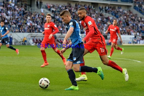 1. BL - 16/17 - TSG 1899 Hoffenheim vs. Eintracht Frankfurt (© Kraichgausport / Loerz)