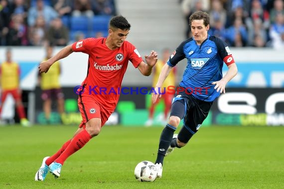 1. BL - 16/17 - TSG 1899 Hoffenheim vs. Eintracht Frankfurt (© Kraichgausport / Loerz)