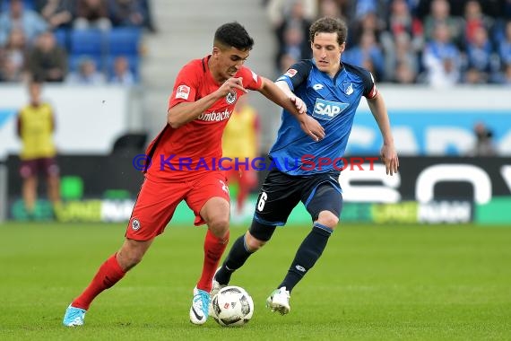 1. BL - 16/17 - TSG 1899 Hoffenheim vs. Eintracht Frankfurt (© Kraichgausport / Loerz)