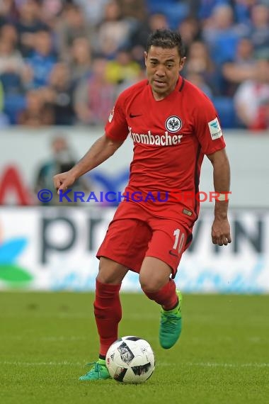 1. BL - 16/17 - TSG 1899 Hoffenheim vs. Eintracht Frankfurt (© Kraichgausport / Loerz)