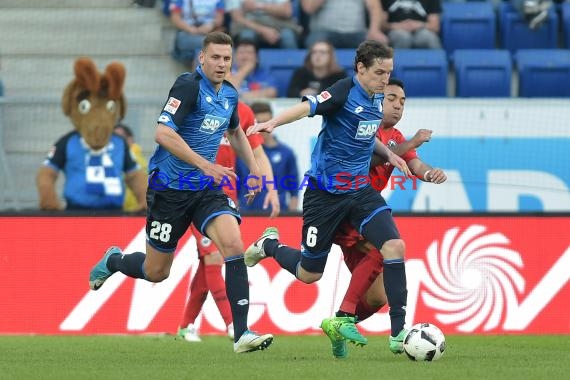 1. BL - 16/17 - TSG 1899 Hoffenheim vs. Eintracht Frankfurt (© Kraichgausport / Loerz)