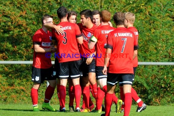 Landesliga Rhein Neckar TSV Michelfeld vs FC Bammental 24.09.2016 (© Siegfried)