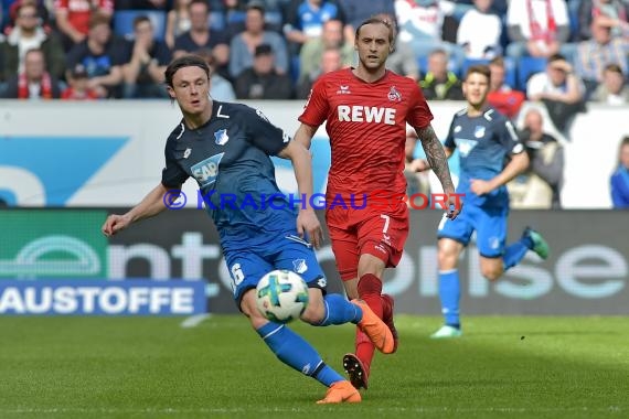 1.BL - 17/18 - TSG 1899 Hoffenheim vs. 1. FC Koeln (© Kraichgausport / Loerz)