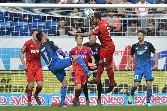 1.BL - 17/18 - TSG 1899 Hoffenheim vs. 1. FC Koeln (© Kraichgausport / Loerz)