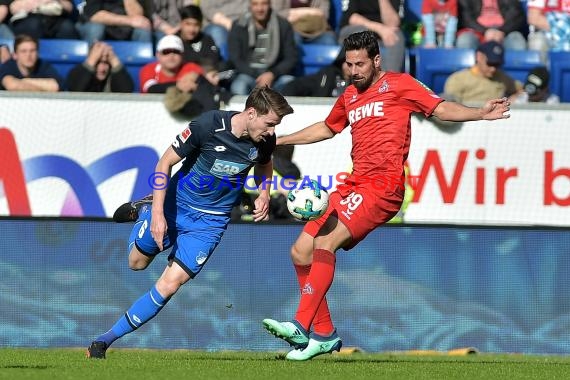 1.BL - 17/18 - TSG 1899 Hoffenheim vs. 1. FC Koeln (© Kraichgausport / Loerz)