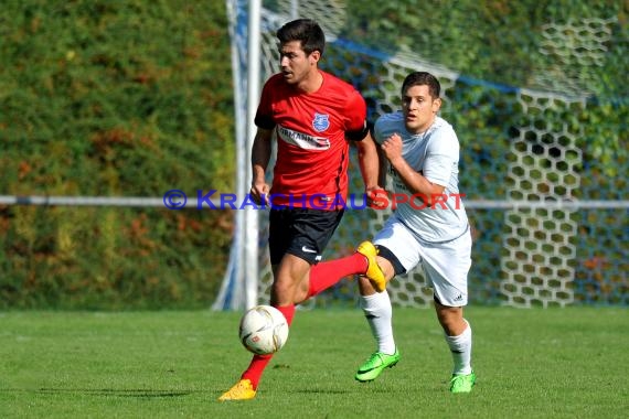 Landesliga Rhein Neckar TSV Michelfeld vs FC Bammental 24.09.2016 (© Siegfried)