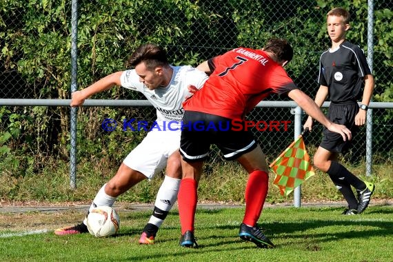 Landesliga Rhein Neckar TSV Michelfeld vs FC Bammental 24.09.2016 (© Siegfried)