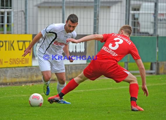 VfB Eppingen - FC Astoria Walldorf II 29.05.2014 (© Siegfried)