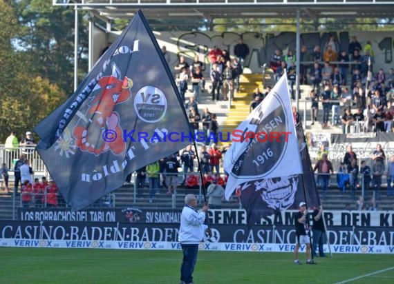 2. Bundesliga SV Sandhausen - TSV 1860 München Hardtwaldstadion Sandhausen 23.09.2014 (© Siegfried Lörz)