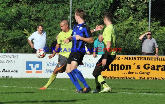 Landesliga Rhein Neckar TSV Michelfeld - SV Rohrbach/S 19.10.2014 (© Siegfried)