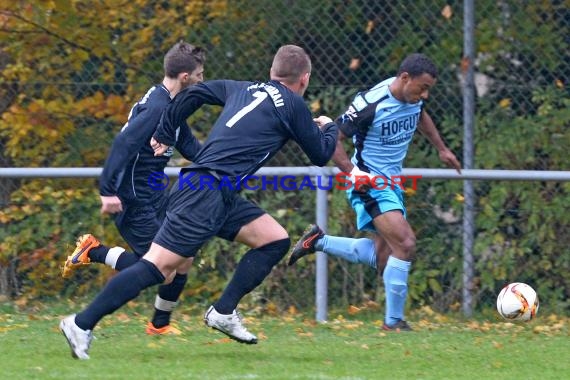 TSV Michelfeld -  VfL Kurpfalz Mannheim-Neckarau 01.11.2015 (© Siegfried)