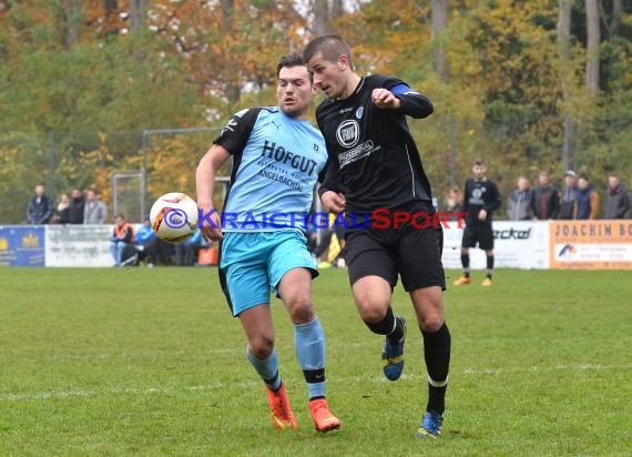 TSV Michelfeld -  VfL Kurpfalz Mannheim-Neckarau 01.11.2015 (© Siegfried)