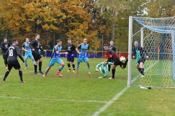 TSV Michelfeld -  VfL Kurpfalz Mannheim-Neckarau 01.11.2015 (© Siegfried)