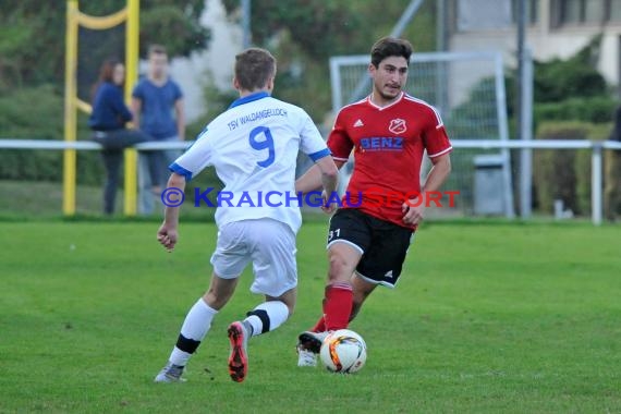 Verbandsliga Nordbaden VfB Eppingen vs TSV Reichenbach 24.09.2016 (© Siegfried Lörz)