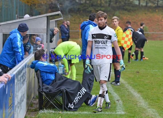 TSV Michelfeld -  VfL Kurpfalz Mannheim-Neckarau 01.11.2015 (© Siegfried)