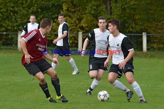 FV Elsenz vs SV Hilsbach Kreisklasse A 23-10-2015 (© Siegfried)