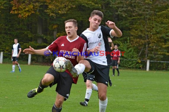 FV Elsenz vs SV Hilsbach Kreisklasse A 23-10-2015 (© Siegfried)