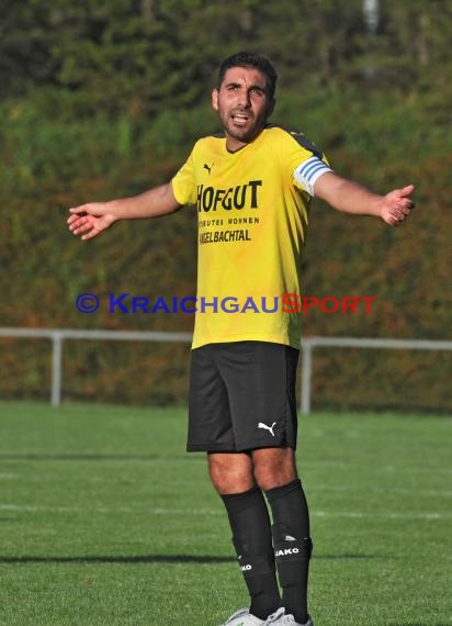 TSV Michelfeld - ASV/DJK Eppelheim 2:4 - Landesliga Rhein Neckar26.08.2015 (© Siegfried Lörz / Loerz)