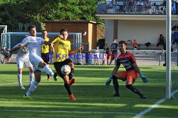 TSV Michelfeld - ASV/DJK Eppelheim 2:4 - Landesliga Rhein Neckar26.08.2015 (© Siegfried Lörz / Loerz)