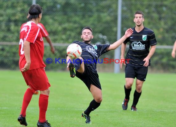 FC Zuzenhausen - Amicitia Viernheim LL Rhein-Neckar 18.08.2013 (© Siegfried)