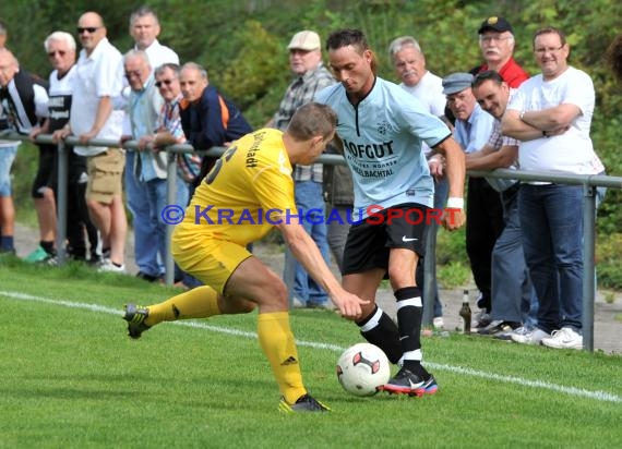 TSV Michelfeld - VfB Gartenstadt 01.09.2013 Landesliga (© Siegfried)