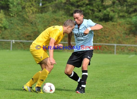 TSV Michelfeld - VfB Gartenstadt 01.09.2013 Landesliga (© Siegfried)