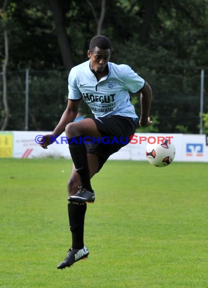 TSV Michelfeld - VfB Gartenstadt 01.09.2013 Landesliga (© Siegfried)