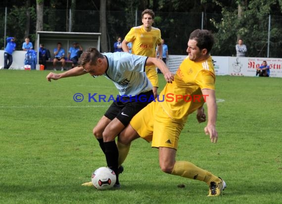 TSV Michelfeld - VfB Gartenstadt 01.09.2013 Landesliga (© Siegfried)